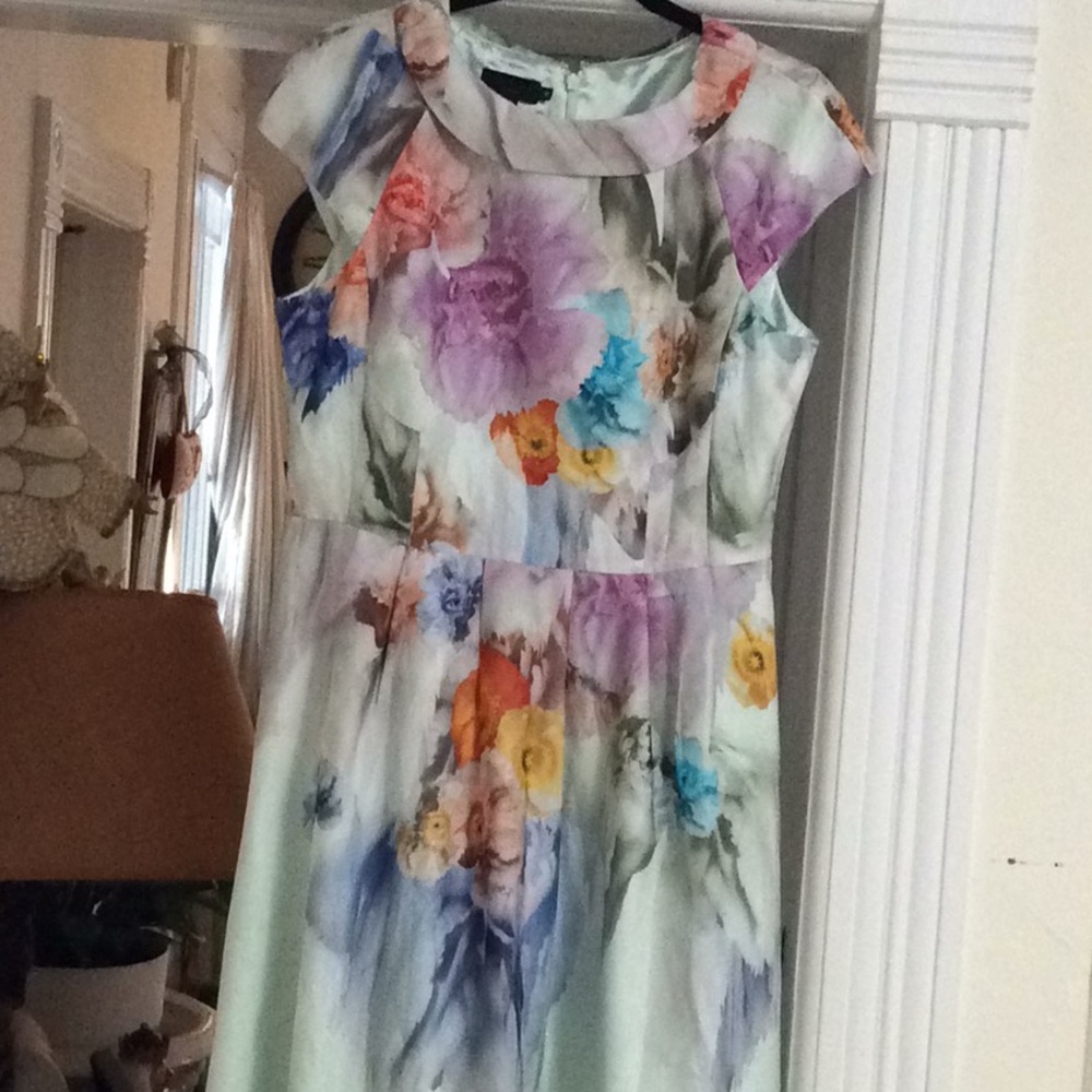 Ted Baker Dress